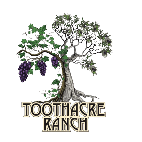 Tooth Acre RanchTooth Acre Ranch
